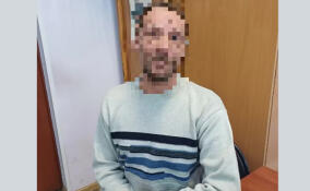 В Петербурге сотрудника ж/д предприятия задержали за кражу 60 кг обмоток якоря