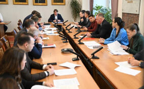 Ледовую арену в Сертолово спроектируют за счет регионального бюджета