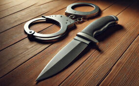 Приозерская прокуратура признала законным возбуждение дела против подростка, подозреваемого в убийстве отца