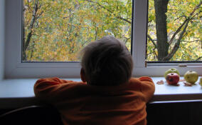 Полуторагодовалый мальчик выжил после падения с 10 этажа: подробности ЧП в Петербурге