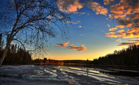 До +3 и мокрый снег с дождем: прогноз погоды в Ленобласти на 27 февраля