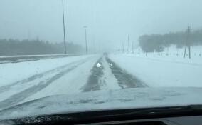 «Пелена как туман»: сильная метель осложнила движение на трассе «Скандинавия» в Ленобласти