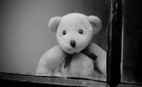 В пресс-службе детского омбудсмена Петербурга назвали причину падения детей из окон