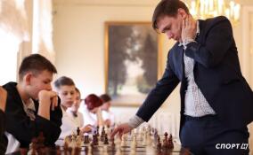 Шахматы, гимнастика и настольный теннис: Ленобласть встречает весну спортивно