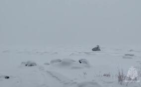 В Ленобласти 19 рыбаков спасли с отколовшейся льдины