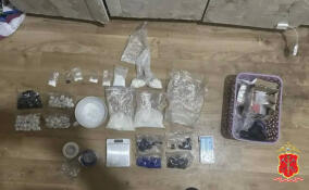 В Выборге поймали распространителя «синтетики»