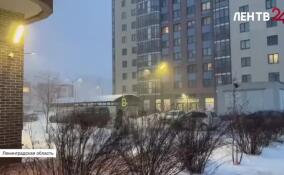 В Ленобласти продолжается сильная метель