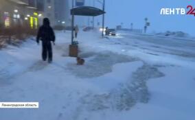 Снег и метель вызвали коллапс на дорогах Ленобласти