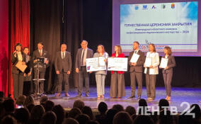 Звание «Учитель года» в Ленобласти завоевала Екатерина Фёдорова из Киришей