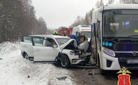 Стали известны подробности ДТП с автобусом у Агалатово