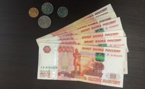 Пенсионерке из Всеволожского района вернут украденный мошенниками миллион