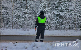 Экс-командира взвода ДПС из Гатчины осудили за получение взятки в 25 тысяч рублей