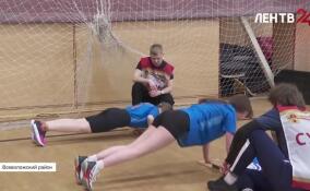 В Токсово прошел фестиваль ГТО