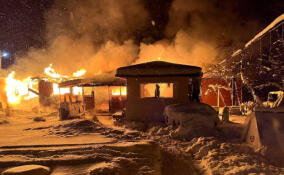 От пожара до аварии: за сутки спасатели Ленобласти выезжали на помощь 10 раз