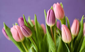 Сплошное разочарование: россиянки составили антирейтинг подарков к 8 Марта