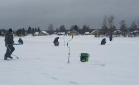 Мороз, удочка и азарт: в Ленобласти прошел юбилейный рыболовный конкурс