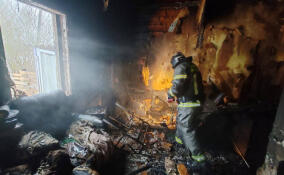 В Ленобласти за сутки потушили 19 пожаров