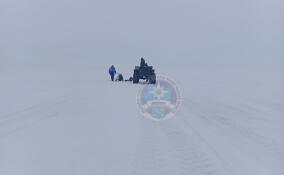 Спасатели подвели итоги оперативной деятельности в Ленобласти за минувшую неделю