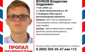 В Ленобласти ищут пропавшего 17-летнего подростка