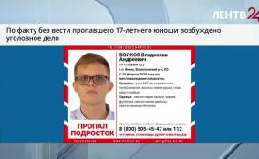 В Ленобласти возбуждено уголовное дело по факту без вести пропавшего подростка