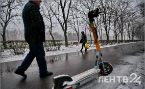 До +2, но ветрено и небольшой снег: прогноз погоды в Ленобласти на 3 марта