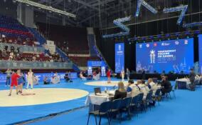 Более тысячи спортсменов съехались в Петербург на чемпионат России по самбо