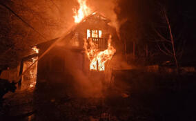 За сутки в Ленобласти потушили девять пожаров