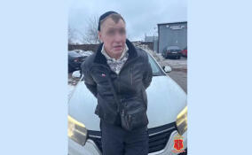 Вора-рецидивиста задержали за кражу из частного дома в поселке Мыза-Ивановка