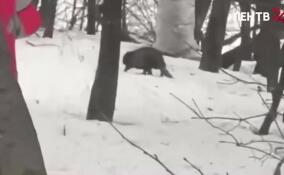 В Петербурге ловят речного браконьера, но не могут поймать