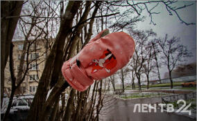 Сильный ветер и до +5: прогноз погоды в Ленобласти на 4 марта