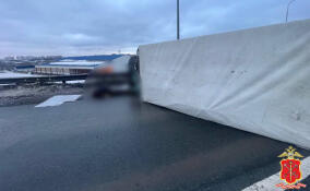 Водителя, скрывшегося с места ДТП у Новосаратовки, задержали