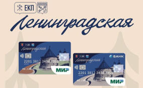 Петербург и Ленинградская область лидируют по выдаче карт жителя