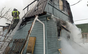 В Ленобласти за сутки потушили пять пожаров