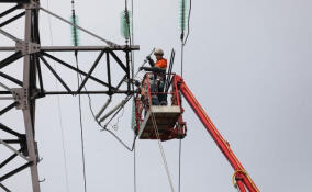 Энергетики повысили надежность электроснабжения более двух тысяч жителей Сланцевского района