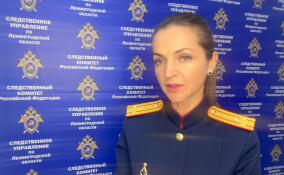 В Ленобласти за мошенничество на 45 млн рублей будут судить директора строительной компании и риэлтора