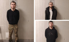 Полиция задержала троих налетчиков на магазины в Петербурге и Ленобласти