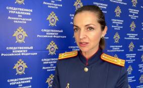 В Ленобласти нашли пропавшего неделю назад подростка