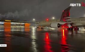 Работа на стройплощадке атомной электростанции «Бушер» остановлена