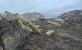 Прокуратура добилась очистки сельхозземли во Всеволожском районе от отходов