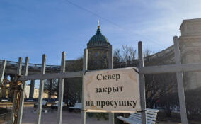 Почему весной скверы и парки Петербурга закрывают на просушку