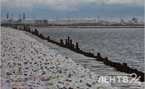 В Финском заливе село на мель грузовое судно