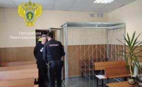 Подозреваемого в краже из дома в поселке Мыза-Ивановка отправили в СИЗО