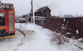 В Ленобласти за сутки потушили два пожара