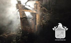 В Черенковицах при пожаре на ферме погибли десятки животных