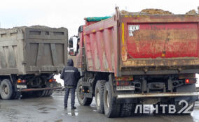 Эконадзор и ГИБДД поймали нарушителей перевозки мусора во Всеволожском районе
