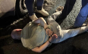 Вооруженный ножом мигрант похитил своего сына у матери