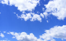 До +5, местами мокрый снег: прогноз погоды в Ленобласти на 6 марта