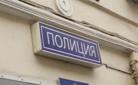 16-летнего подростка из Сертолово подозревают в мошенничестве на 1 млн рублей