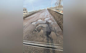 Прокуратура заинтересовалась ямами на дороге в Тосно