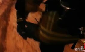 В Петербурге инспекторы ДПС эвакуировали из горящего дома около 30 человек